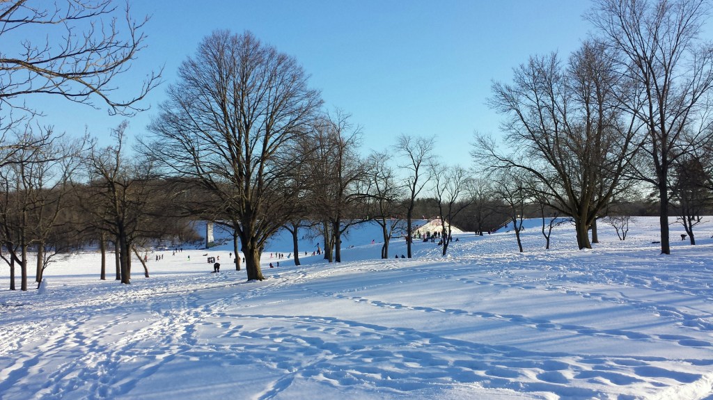 20131228_150549_resized_2